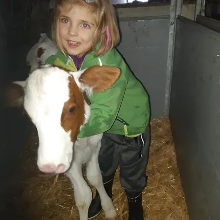 Schatzhof Фермерский дом