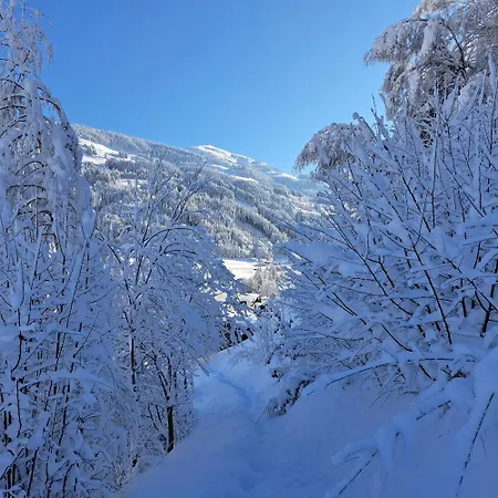 Фермерский дом Schatzhof Йохберг